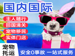 德宏芒市空运地址国际宠物托运 【国